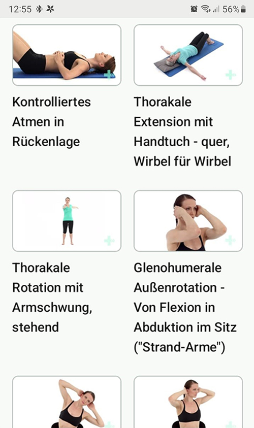 Online Übungsprogramm Dysfunktion der Rippegelenke auf der Rückseite