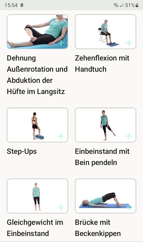 Online Übungsprogramm Hoffaitis