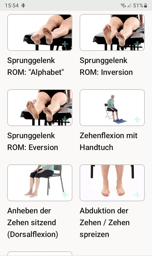 Online Übungsprogramm Sinus Tarsisyndrom