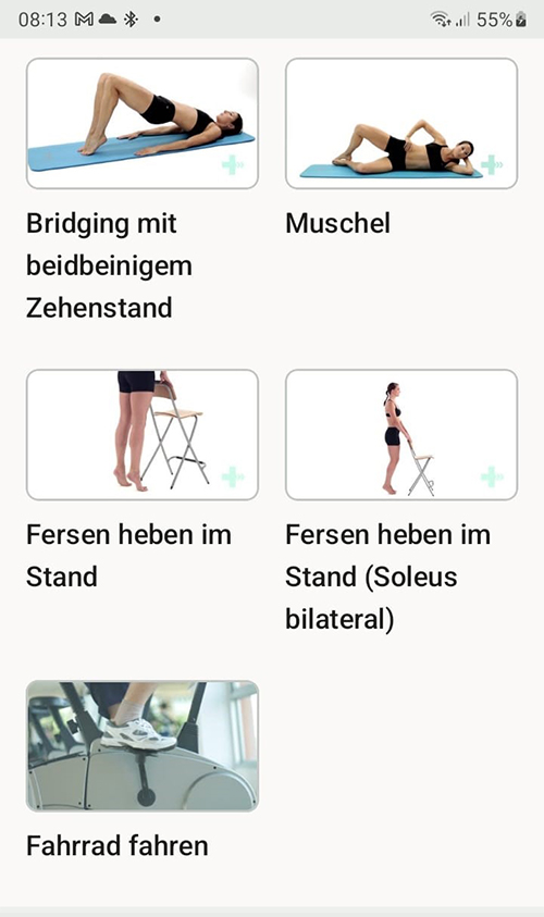 Online Übungsprogramm Achillestendinopathie