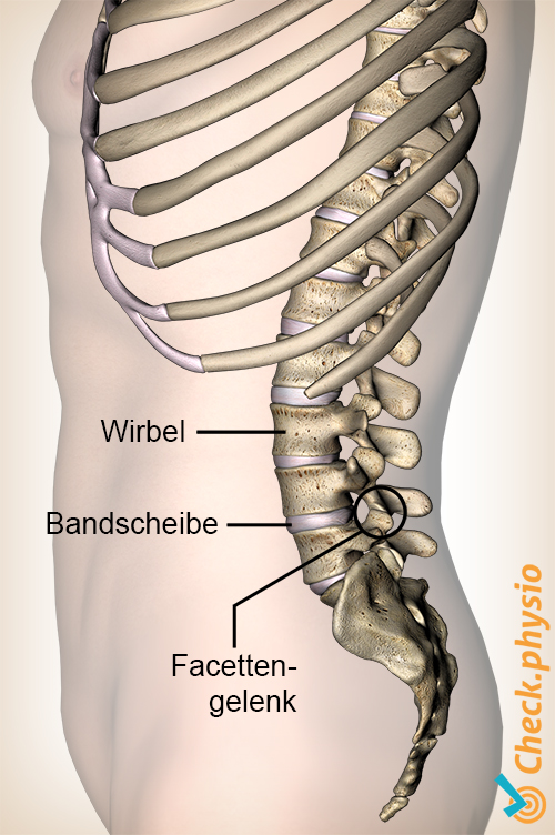 Lumbales Facettensyndrom | Ursache, Symptome & Behandlung